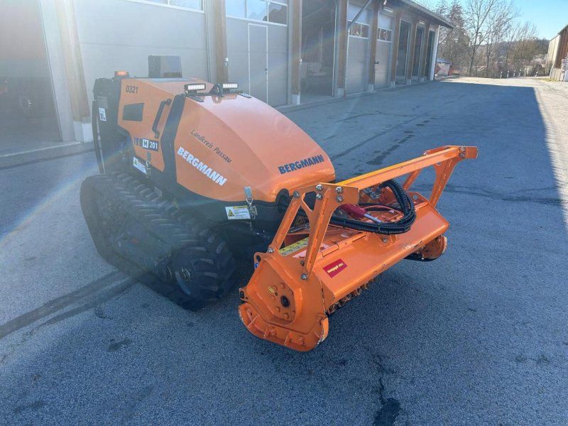 Bergmann Mähraupe M 201 mit Zubehör