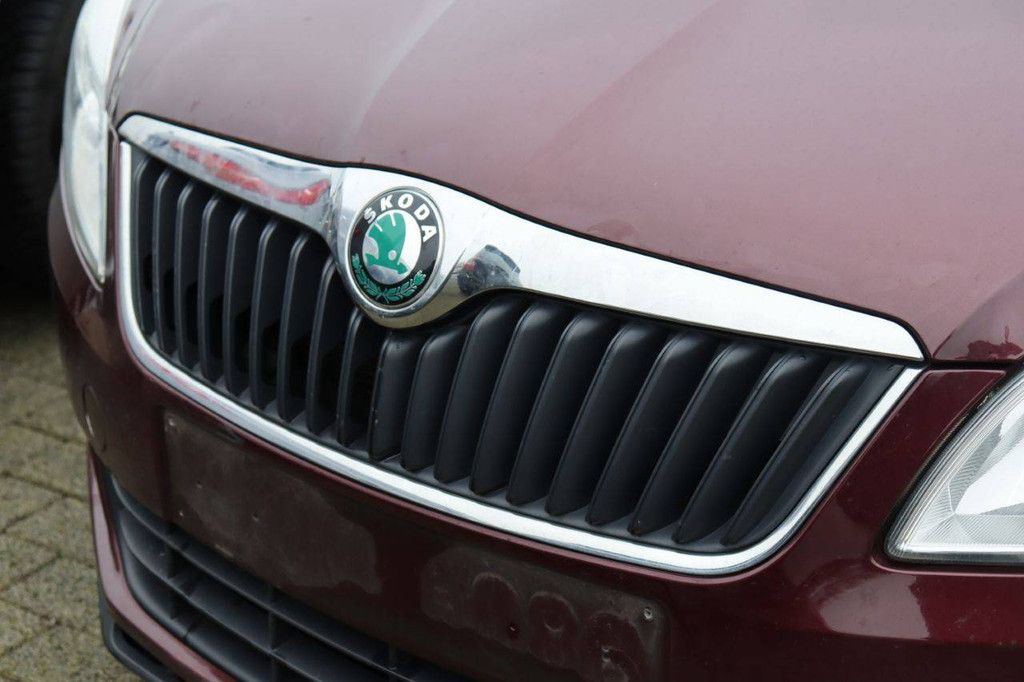 SUV Skoda Fabia TSI Benzine 105pk 2011 (Marge)