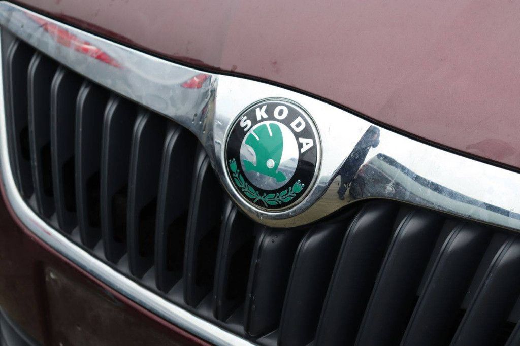 SUV Skoda Fabia TSI Benzine 105pk 2011 (Marge)