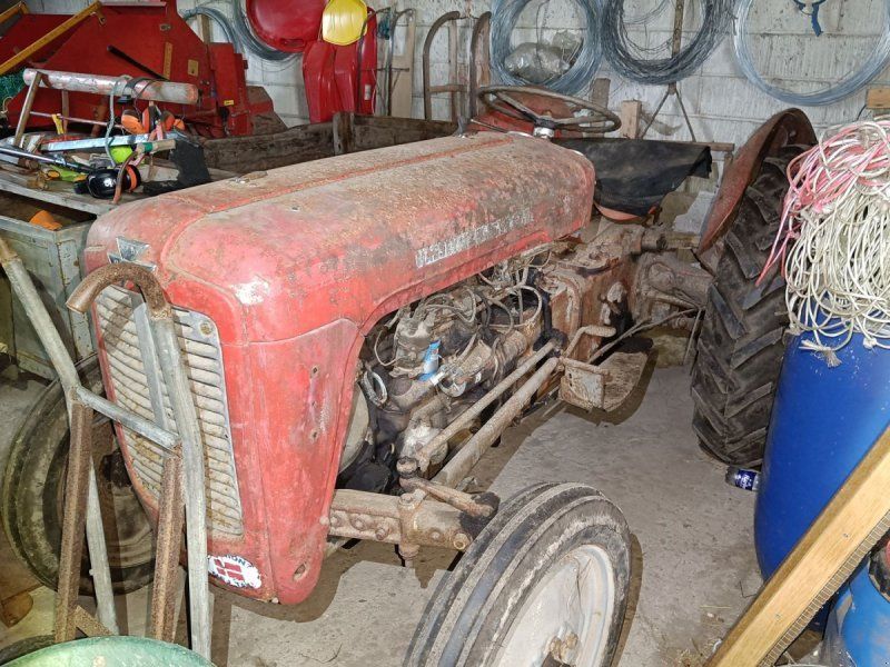 Massey Ferguson 35 benzin