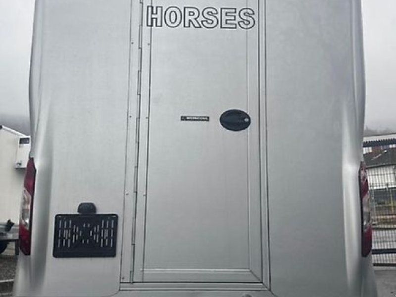 Renault Master JL Mini 2 Pferdeer Vollalukoffer 3,5t.