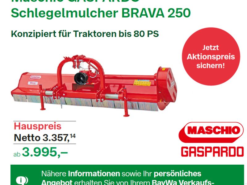 Maschio GASPARDO Schlegelmulcher BRAVA 250
