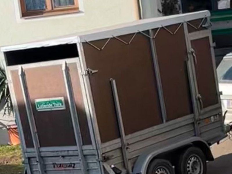 Pongratz EPA 250/12 T-STK Bärenstark