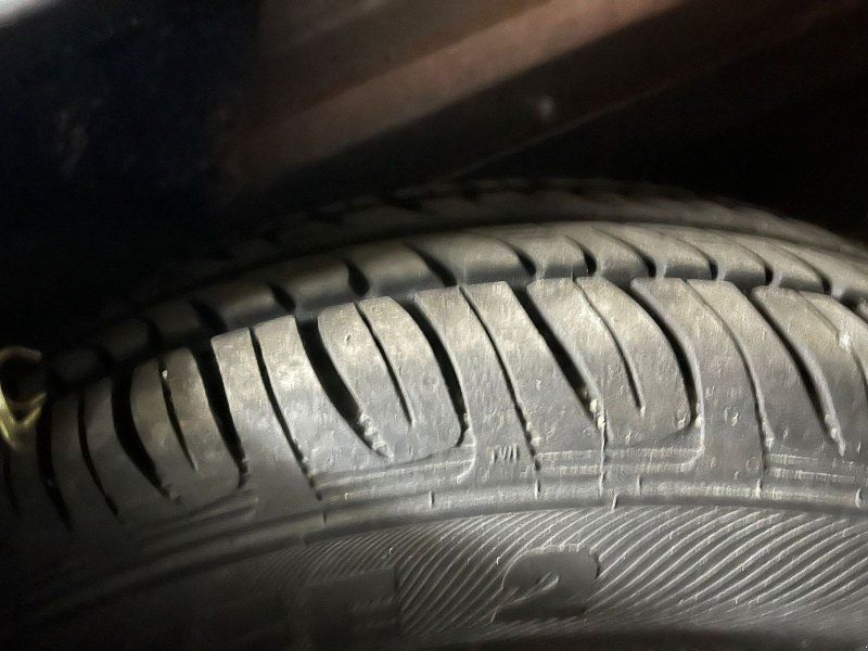 Pongratz EPA 250/12 T-STK Bärenstark