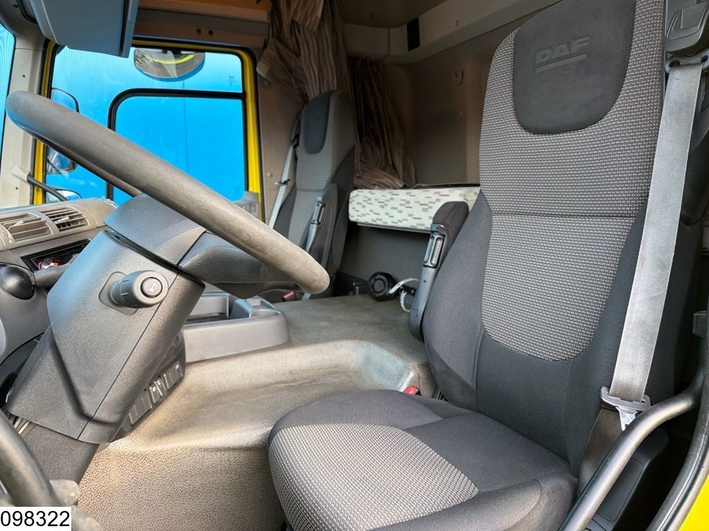 DAF CF 410 EURO 6, Dhollandia