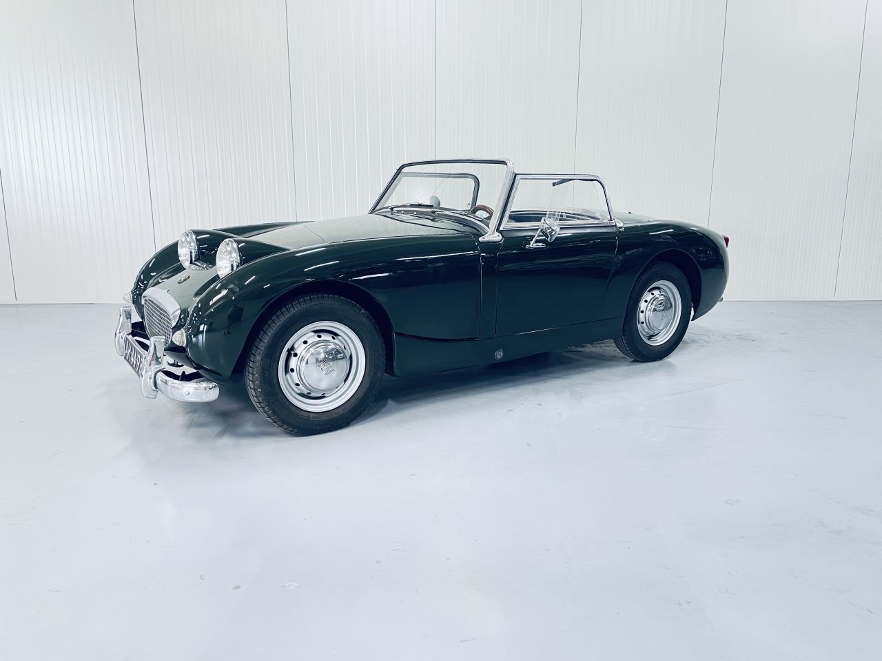Austin Healey MK1 ( Kikkeroog) Volledig gerestaureerd