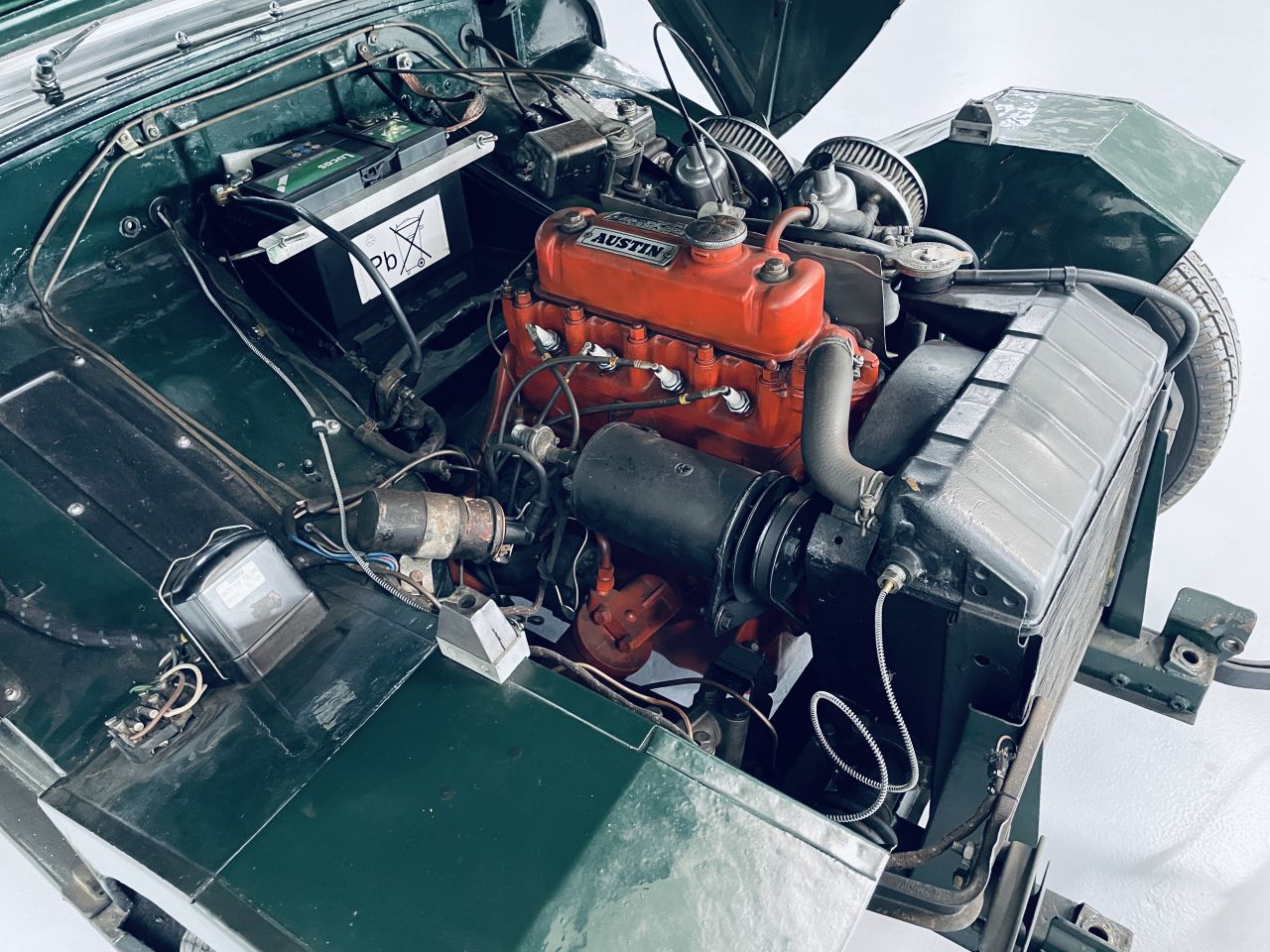 Austin Healey MK1 ( Kikkeroog) Volledig gerestaureerd