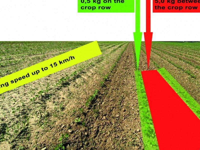 Hatzenbichler Locator ukrudtsstrigle 6 Meter