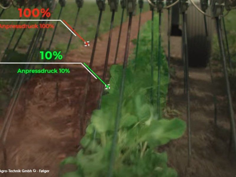Hatzenbichler Locator ukrudtsstrigle 6 Meter