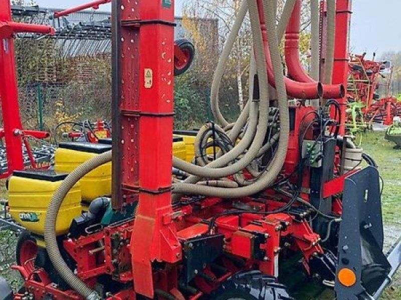 Breviglieri Einzelkorn Mais