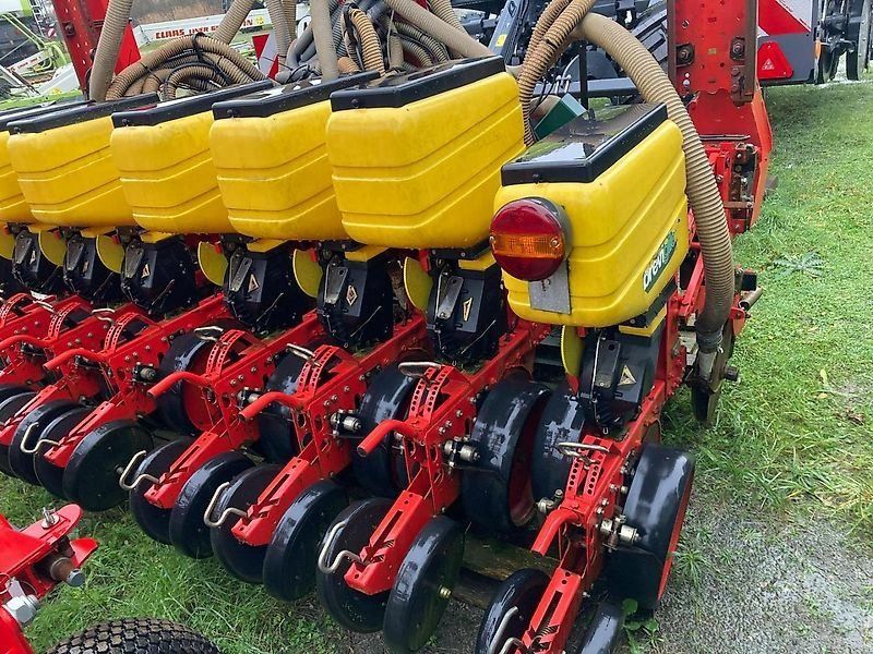 Breviglieri Einzelkorn Mais