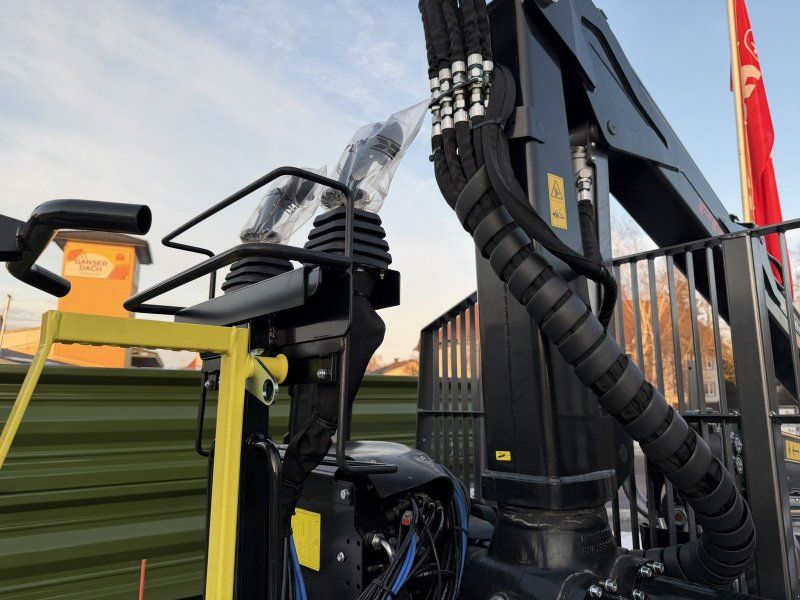 Palms H10D mit K5.85