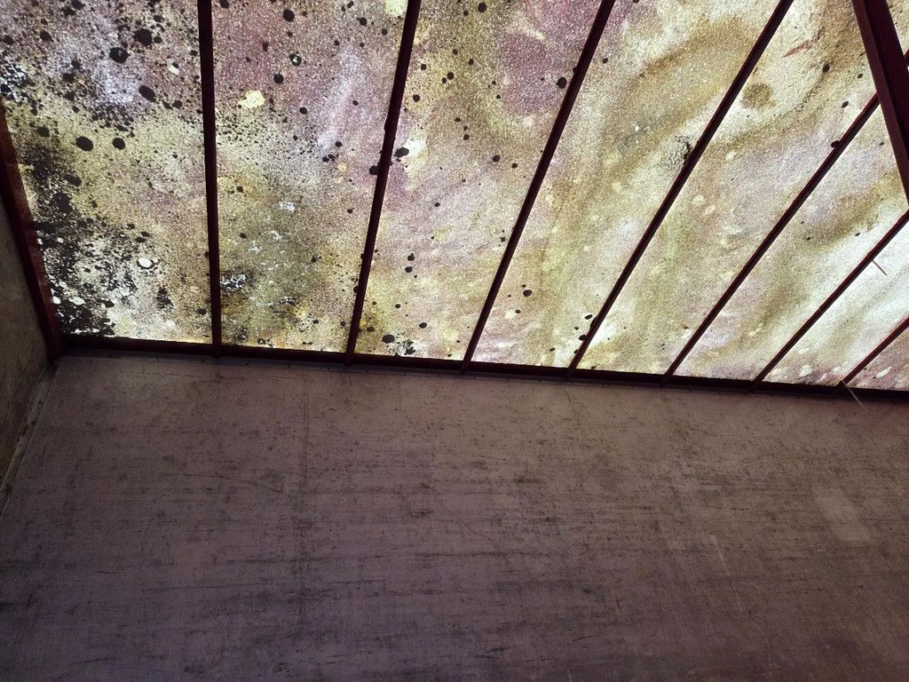 DRACO 1as met vastewand, podium oplegger