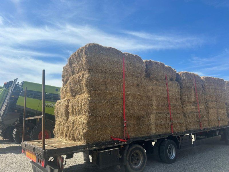 Meusburger Auflieger,  2-Achser Zwillingsbereifung