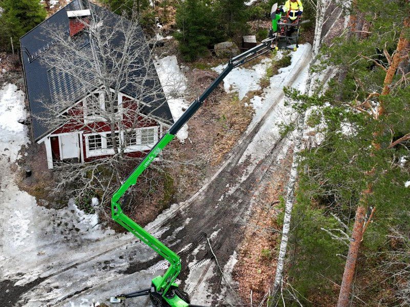 Leguan Lifts 225 Hubarbeitsbühne