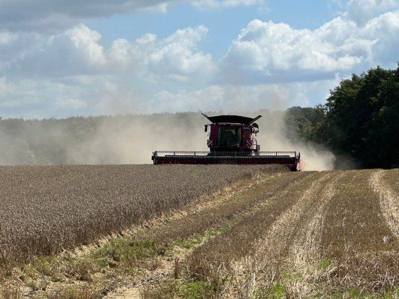 Case IH 8250 AXIAL-FLOW