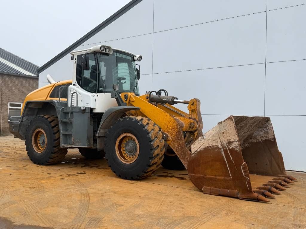 Liebherr L550 - Automatic Greasing / Good Tyres!