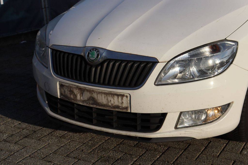 Pkw Skoda Fabia Diesel 75 PS 2010 (Margin)