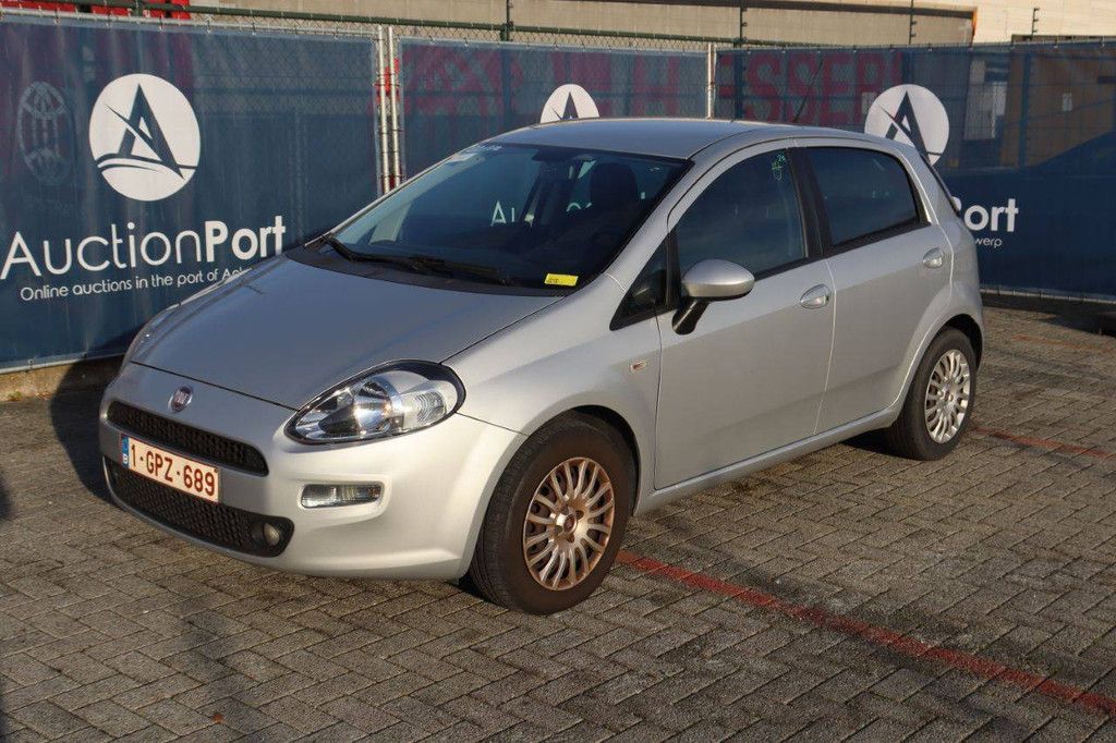 Passenger car Fiat Punto Petrol 69 hp 2014 (Margin)