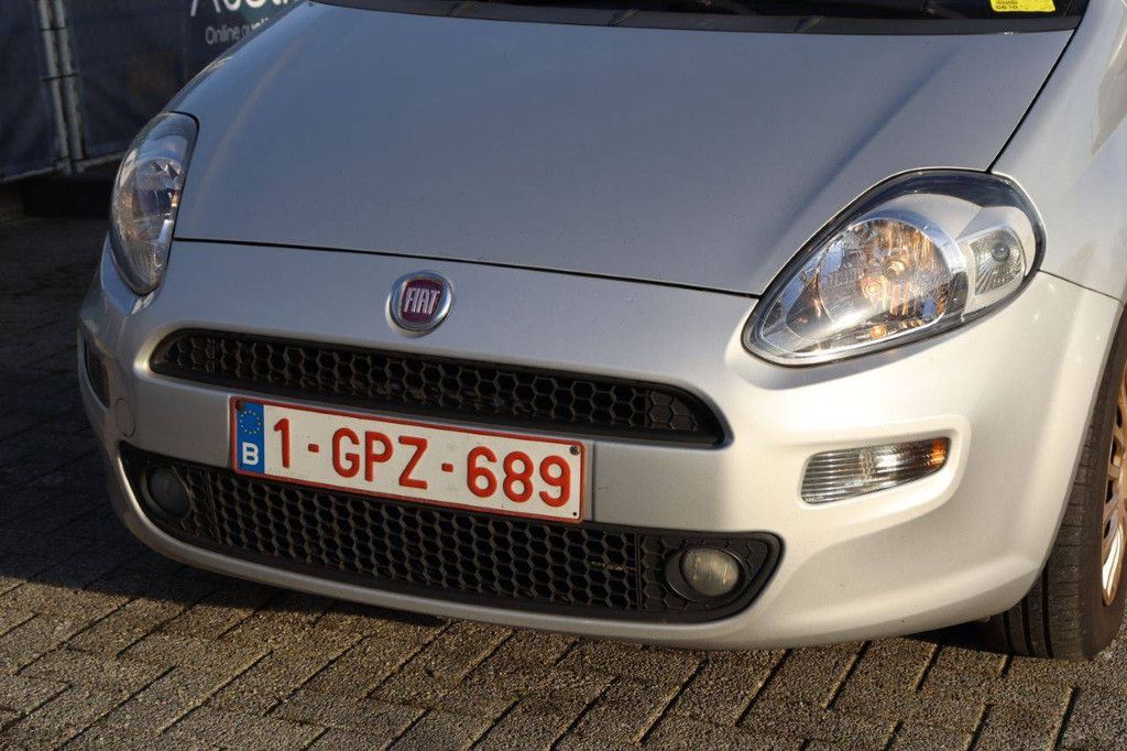 Passenger car Fiat Punto Petrol 69 hp 2014 (Margin)