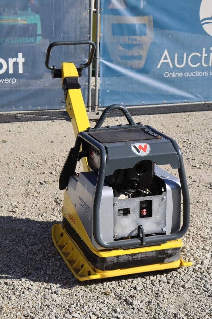 Vibrationsplatte Wacker Neuson DPU6555 Diesel 2015