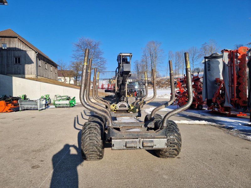 Palms H 10U + K 7.72