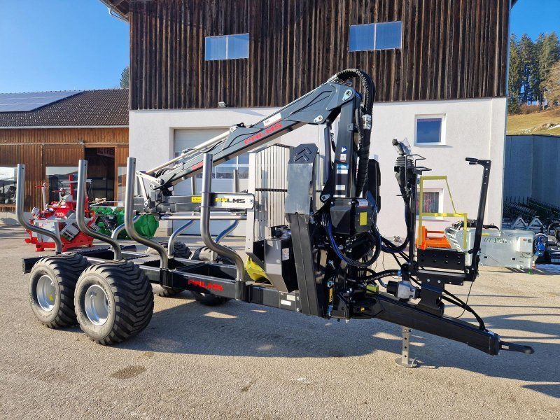 Palms H 10D + K 5.85