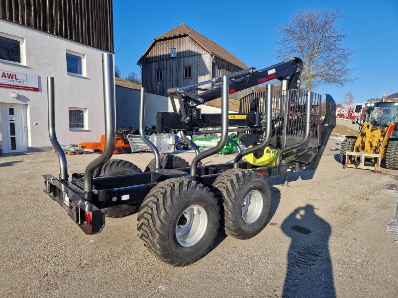 Palms H 10D + K 5.85