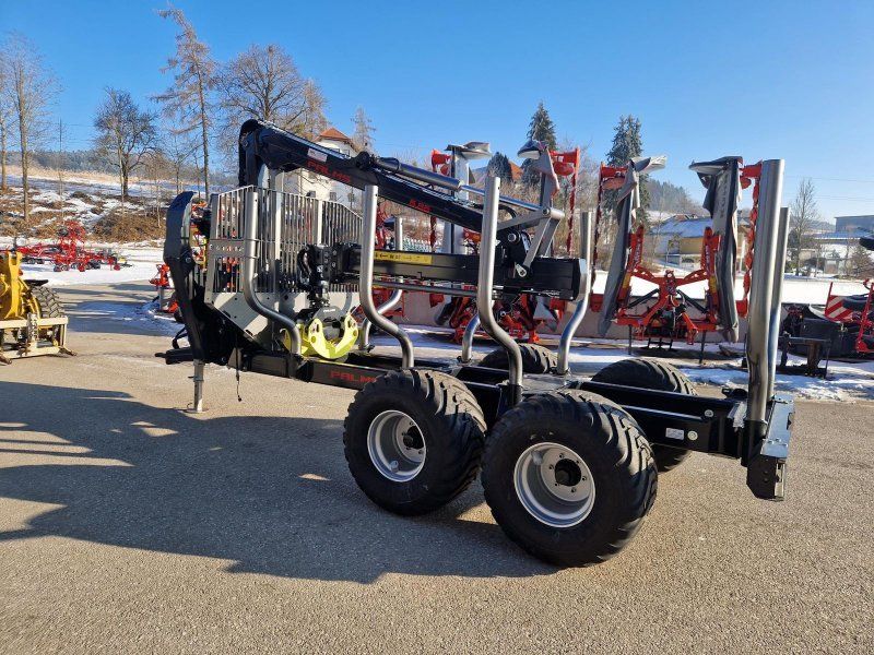 Palms H 10D + K 5.85