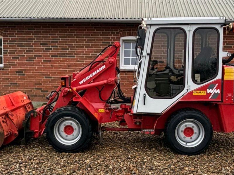Weidemann 1704