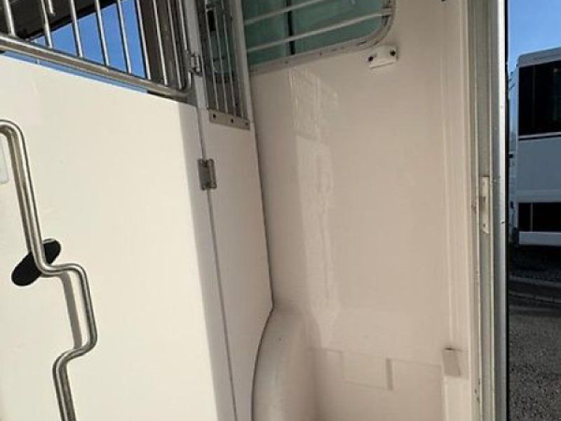 Renault Master BARBOT 2 Pferdeer 5 Sitzer 3,5t.