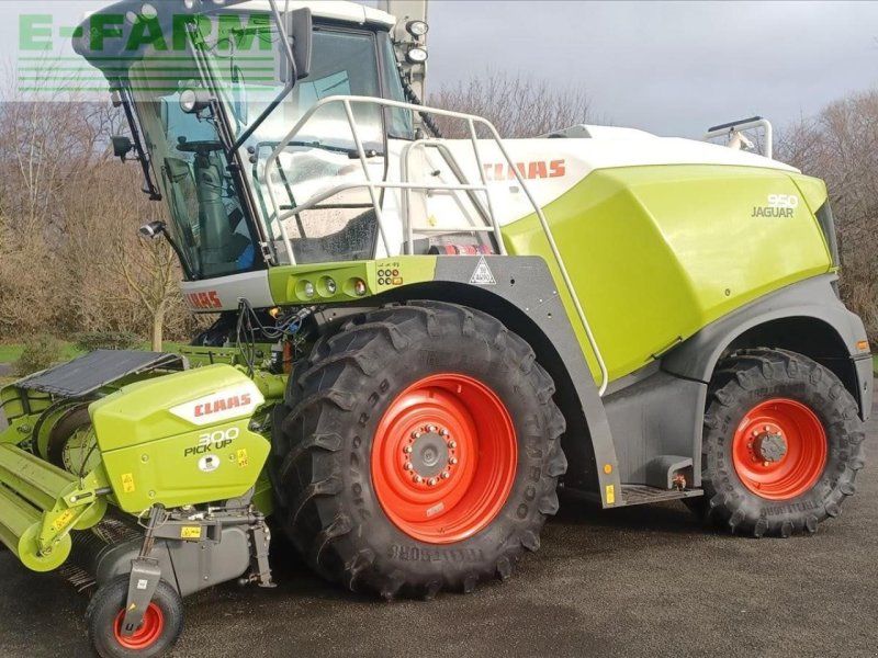 Claas JAGUAR 950 4WD
