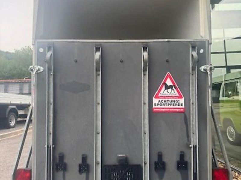 Böckmann Duo 2 Pferde 2t. Poly/ Holz SK