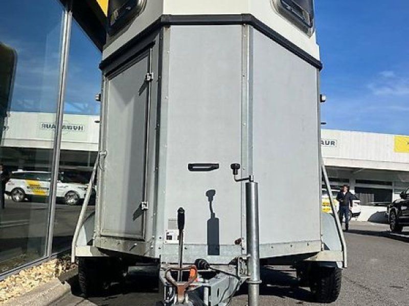 Böckmann Duo 2 Pferde Holz/Poly 2t.