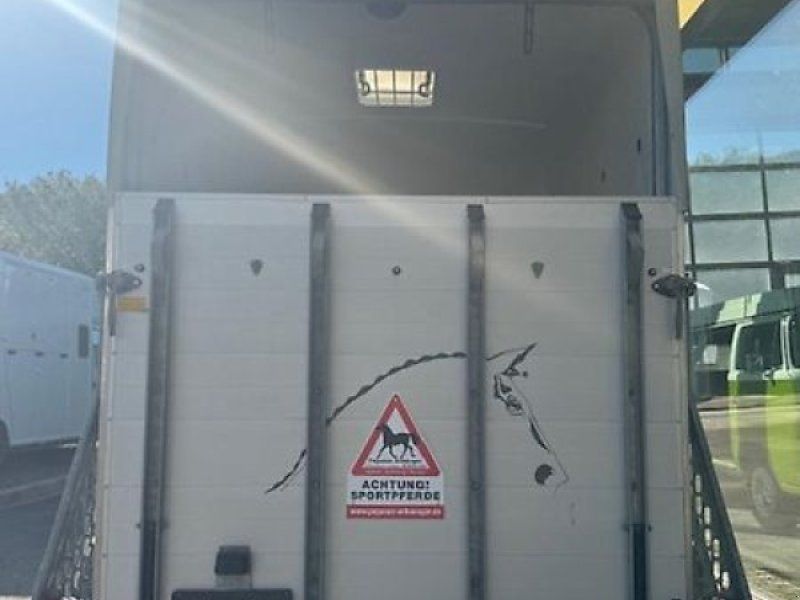 Böckmann Big Champion 2 Pferde 2,4t, ALU DS-Klappe