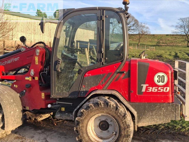 Schäffer 3650T