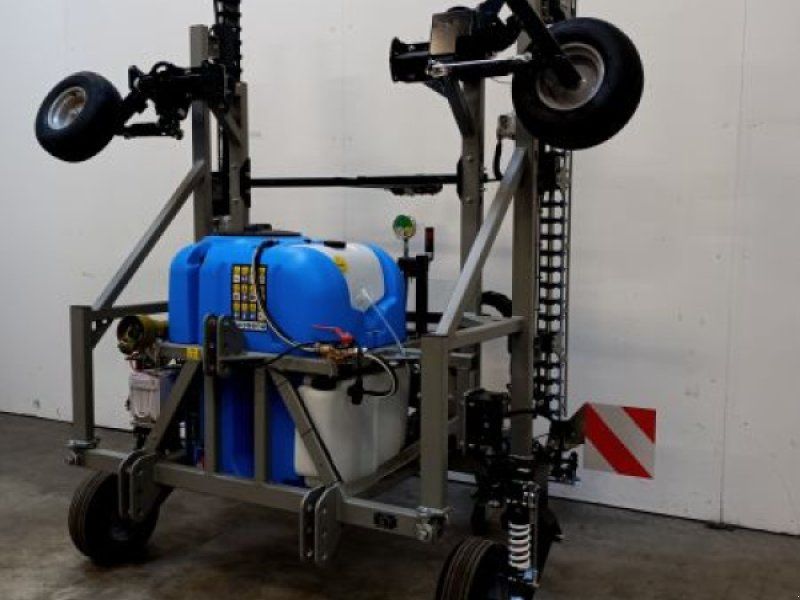 Rumex RXF 600 Einzelpflanzen