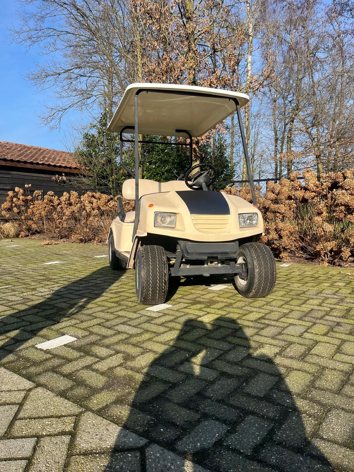 Golfcar met nieuwe accupakket