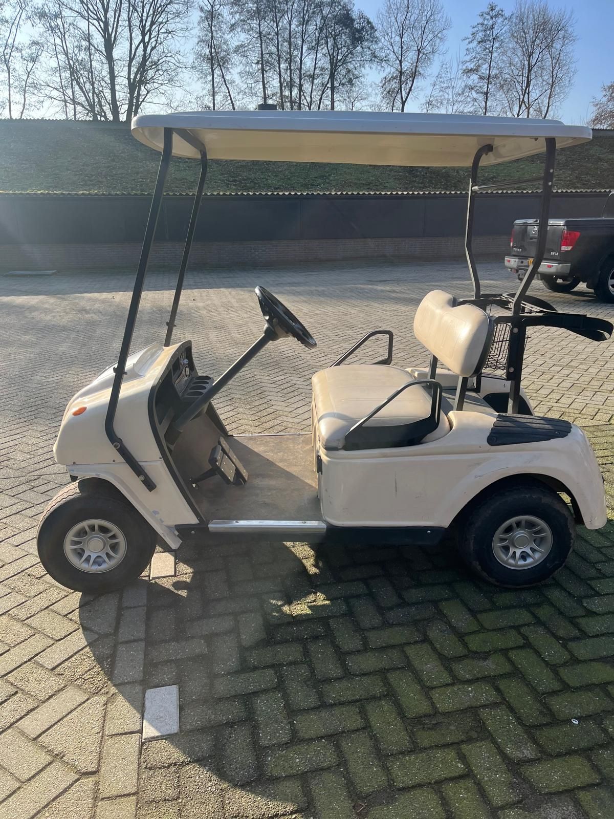 Golfcar met nieuwe accupakket