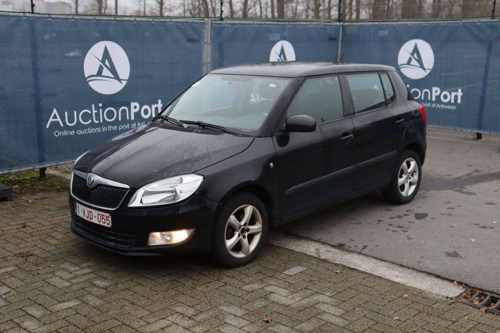 Pkw Skoda Fabia Diesel 90 PS 2011 (Margin)