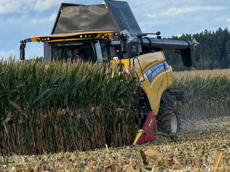 New Holland CR 8.90 Raupe
