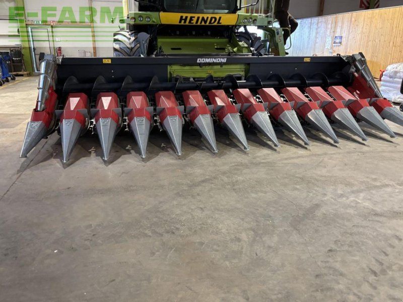 Dominoni maispflücker 12 reiher, 50 cm