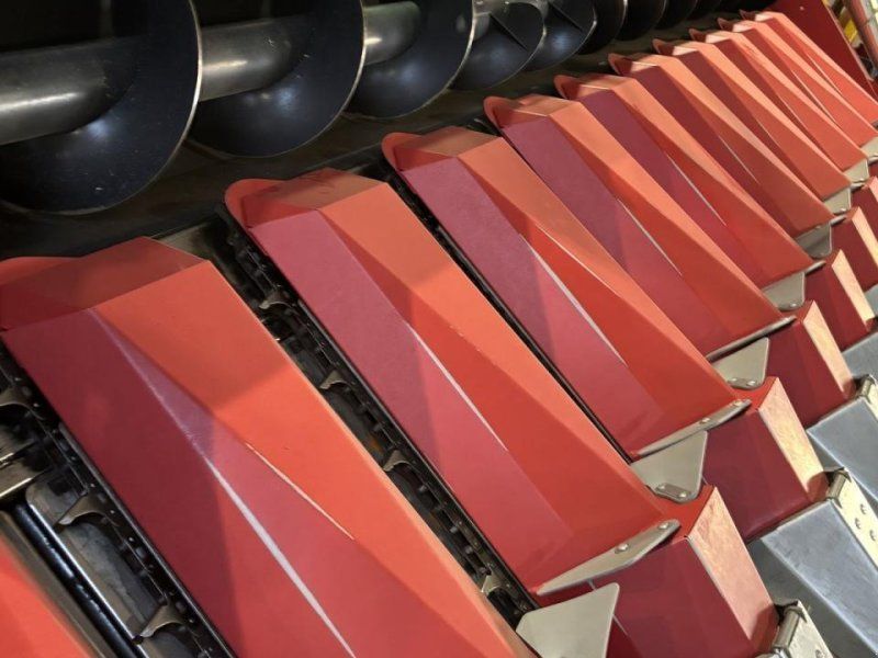 Dominoni maispflücker 12 reiher, 50 cm