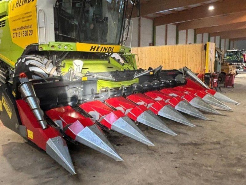 Dominoni maispflücker sl978bg