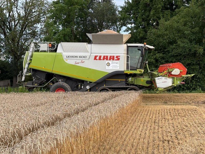 Claas Lion 600 TT
