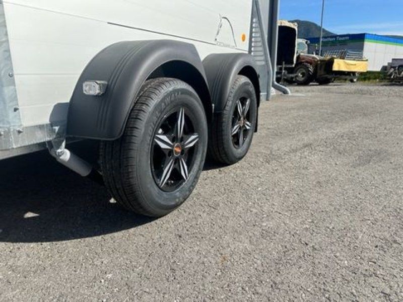 Böckmann Pferdeanhänger Big Champion SKA 3,50x1,75m 2,7to