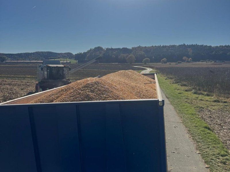 Kögel Kögel 3-achs Kipper