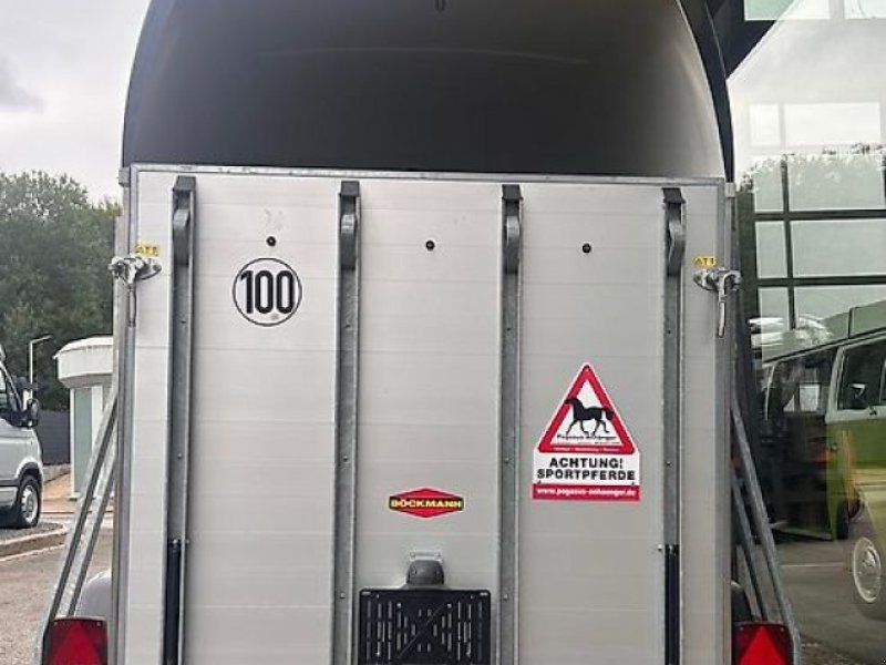 Böckmann Champion Esprit silver black Pferde 2,0t