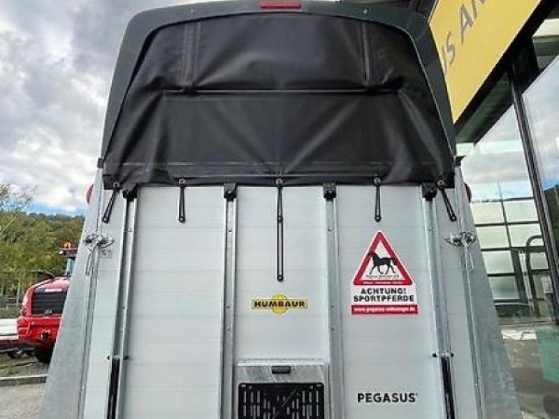 Humbaur Pegasus es Modell 2024 Sonderausstattung !! !!