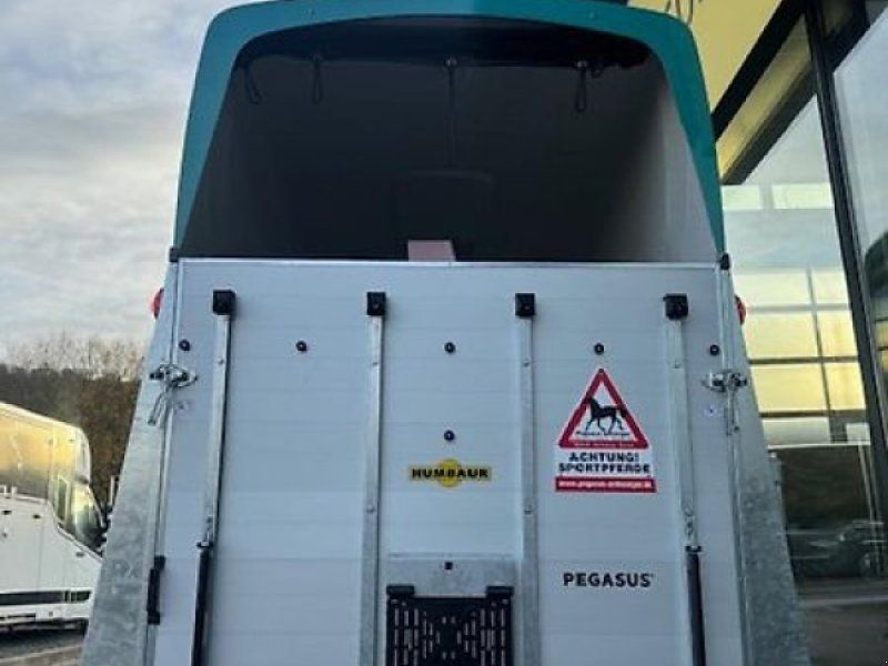 Humbaur Pegasus 2 Pferde  2,4t. D/S Klappe Panorama